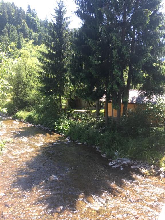 Cabana Felyviss Gîrda de Sus Dış mekan fotoğraf