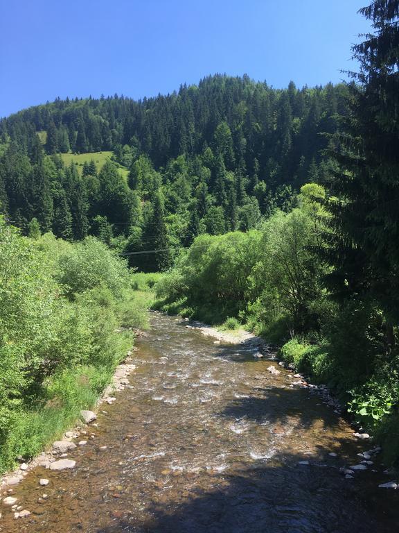 Cabana Felyviss Gîrda de Sus Dış mekan fotoğraf